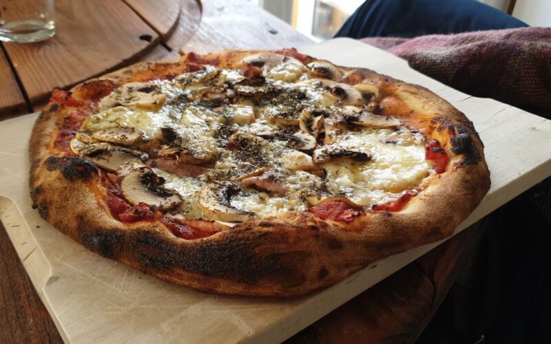 Cozze pizzaovn test: Hvilken model skal du vælge? Se vores favorit her.